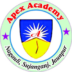 APEX ACEDAMY